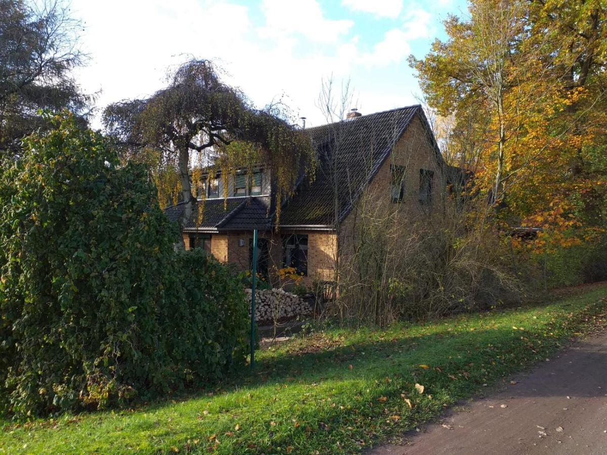 Gabis Ferienwohnung Bendingbostel Værelse billede